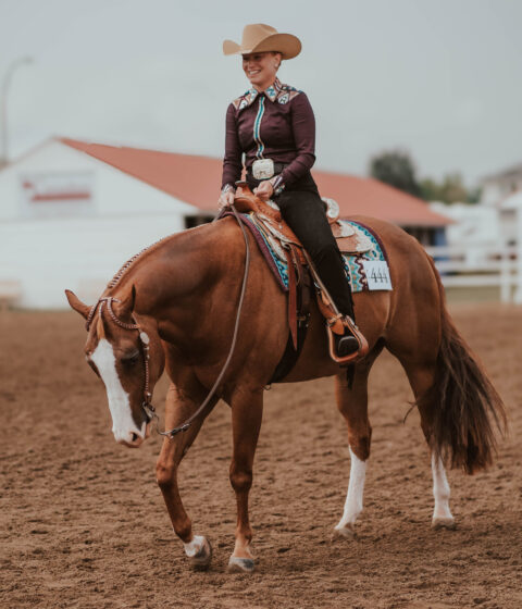 Equine Events Equine Events